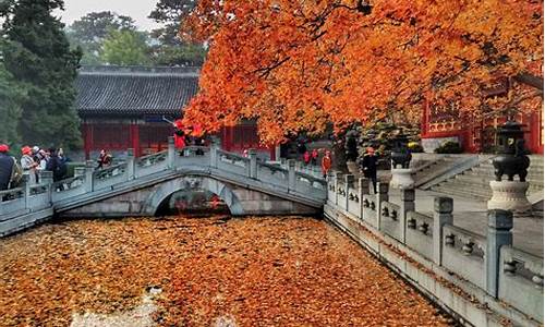 北京香山旅游路线_北京香山旅游路线图