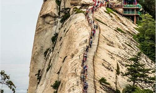 华山旅游景点介绍文章_华山旅游景点介绍文章怎么写